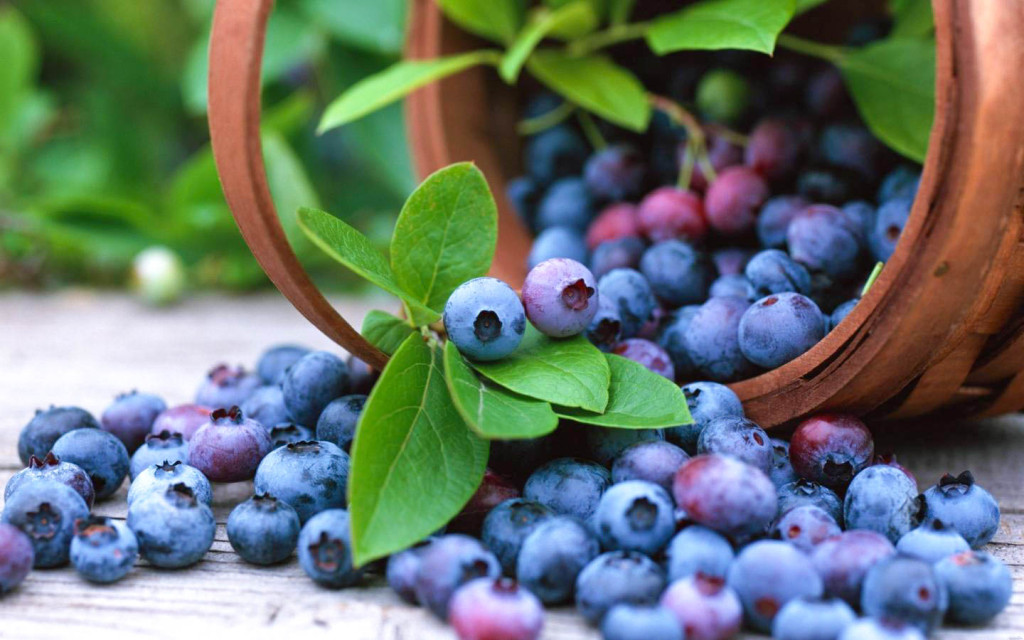 blueberry_fruit_basket