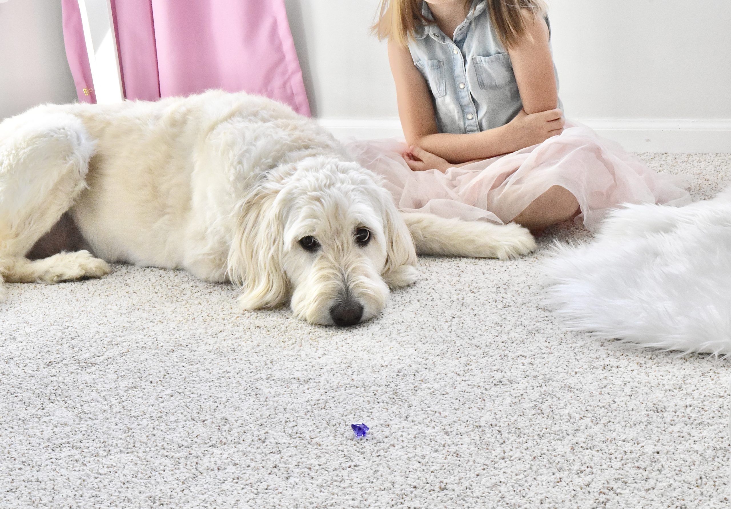 Carpet & Rug - Dog and Girl