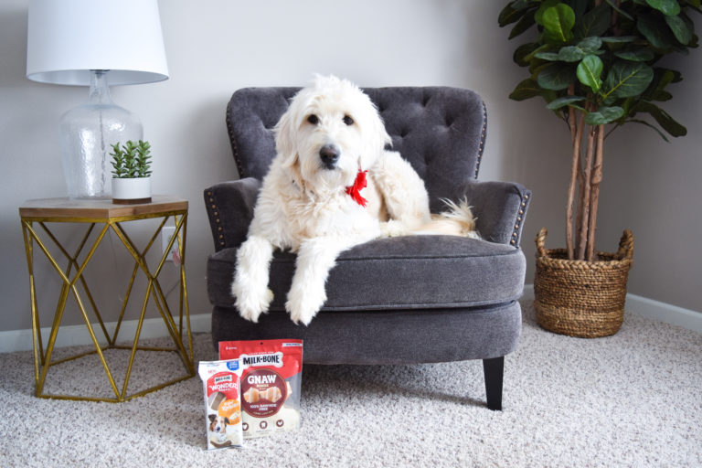 Sophie & Ollie’s New Favorite Treats: Milk-Bone Long-Lasting Chews!